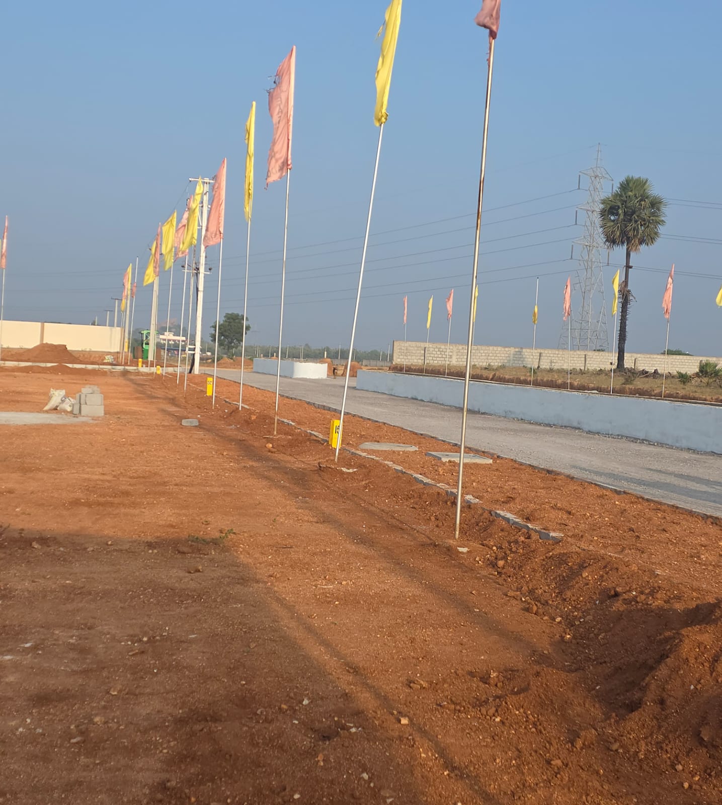 Main internal road at Eastern Meadows lined with tall flags, with the road edge cut and shaped beside it